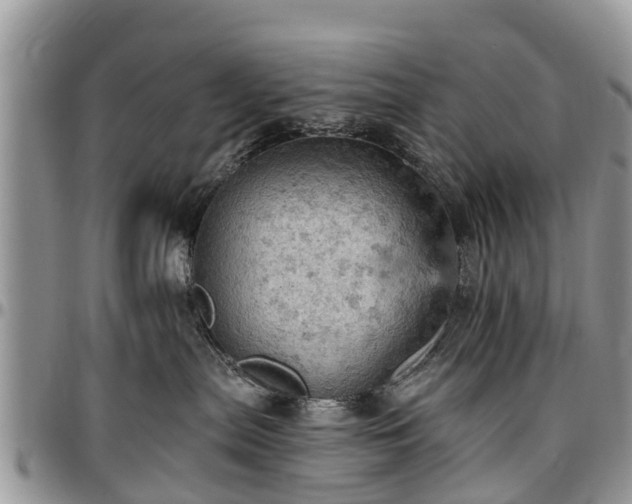 X0000096950287200802151245