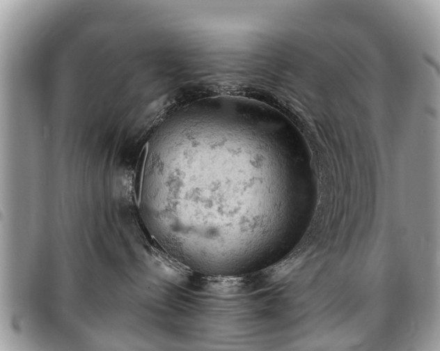 X0000096950288200802151245