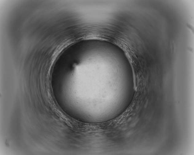 X0000096950289200802151244
