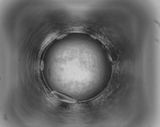 X0000096950293200802151244