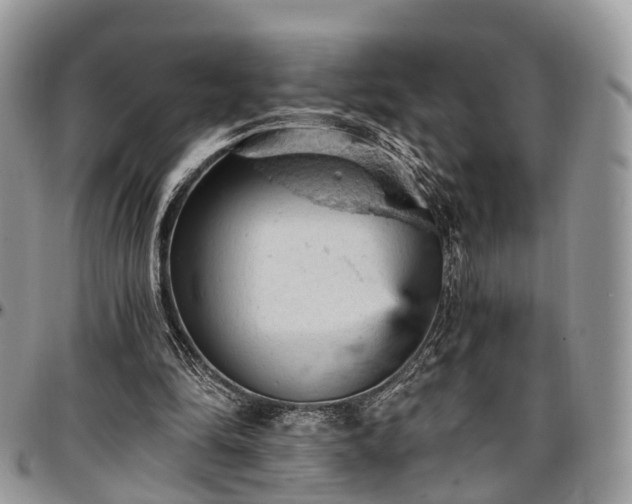 X0000096950294200802151244