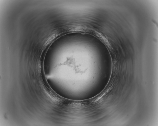 X0000096950298200802151244