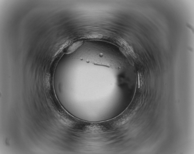 X0000096950300200802151244