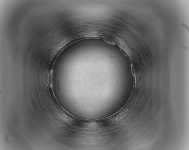 X0000096950301200802151244
