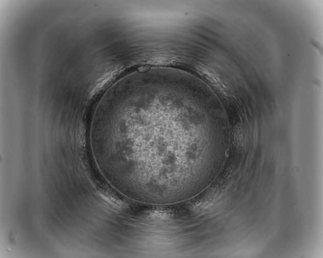 X0000096950303200802151244