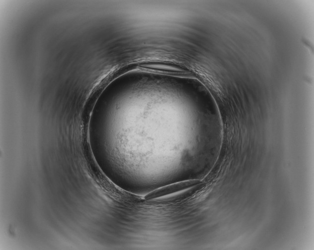 X0000096950304200802151244