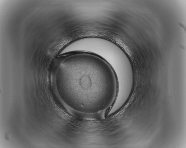 X0000096950305200802151244