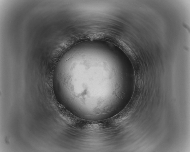 X0000096950307200802151244