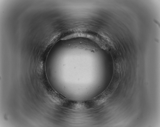 X0000096950308200802151244