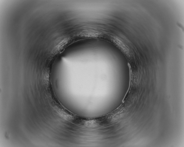 X0000096950309200802151243