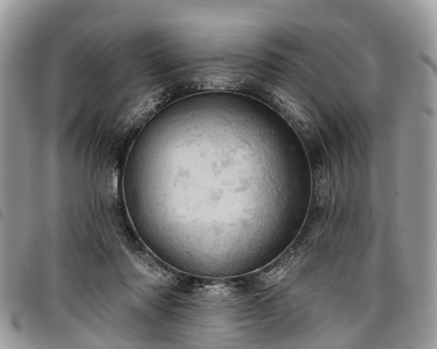 X0000096950310200802151243
