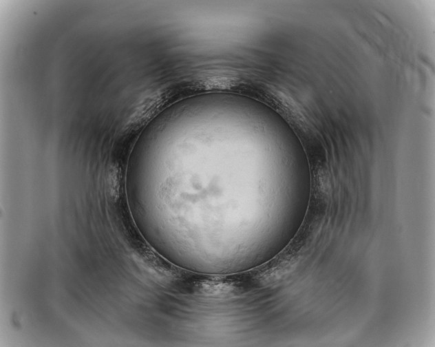 X0000096950311200802151243