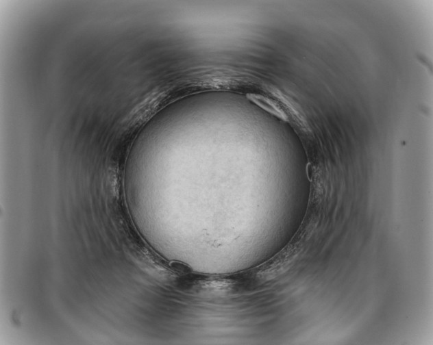 X0000096950313200802151243