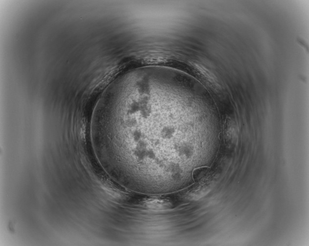 X0000096950315200802151243