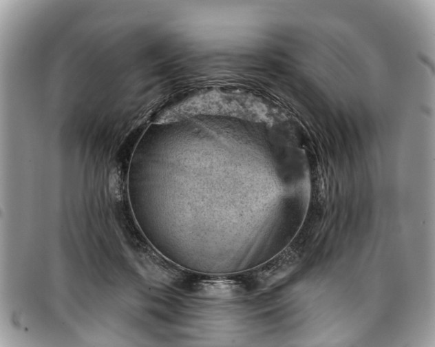 X0000096950316200802151243