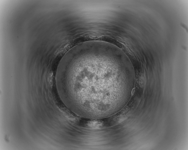 X0000096950319200802151243