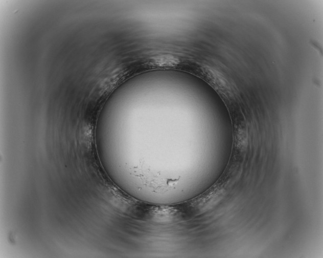 X0000096950321200802151243