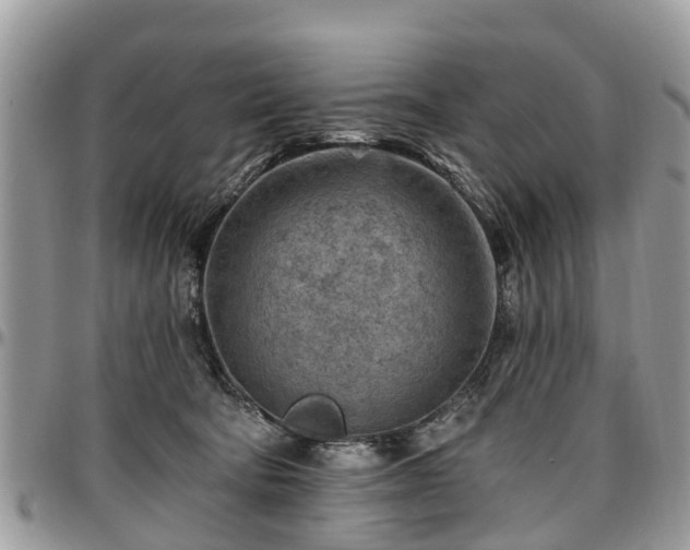 X0000096950322200802151243