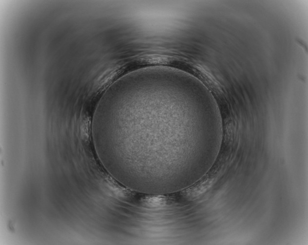 X0000096950325200802151243