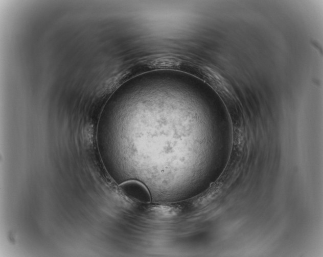X0000096950326200802151243