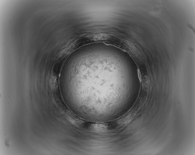 X0000096950327200802151243