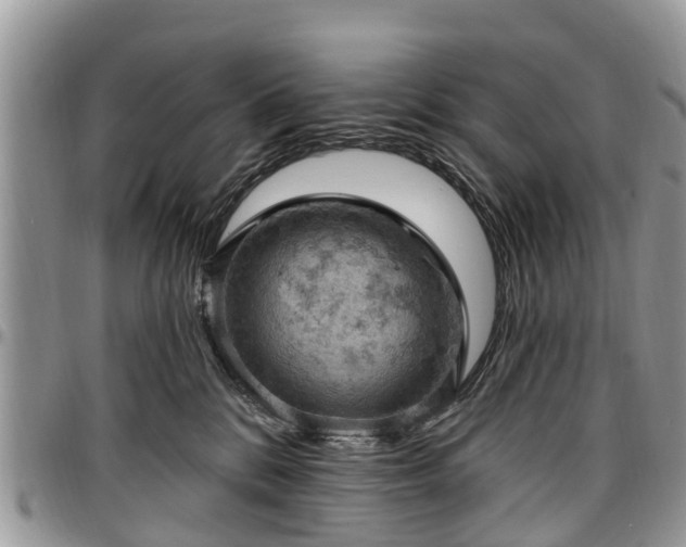 X0000096950328200802151243