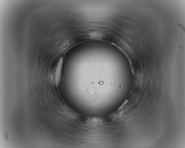 X0000096950329200802151243