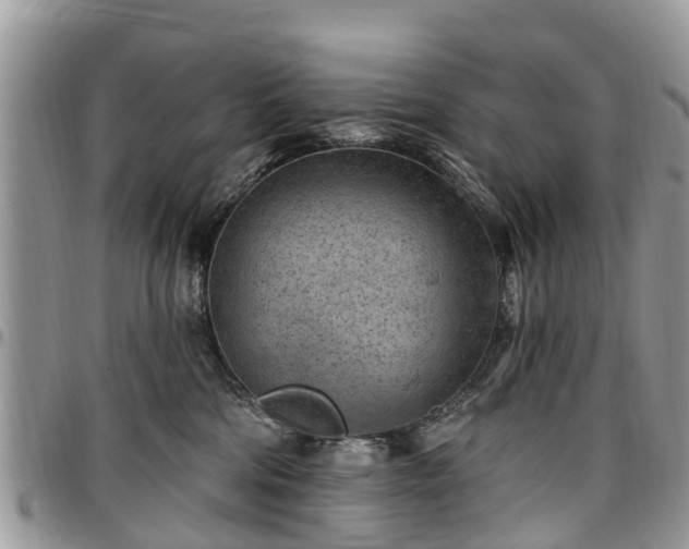 X0000096950330200802151243