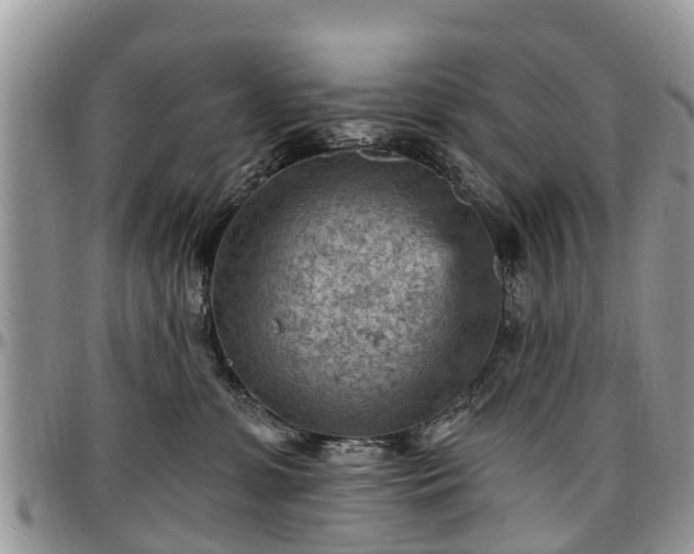 X0000096950331200802151243