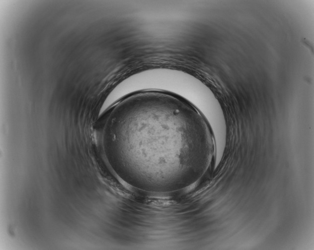 X0000096950332200802151243