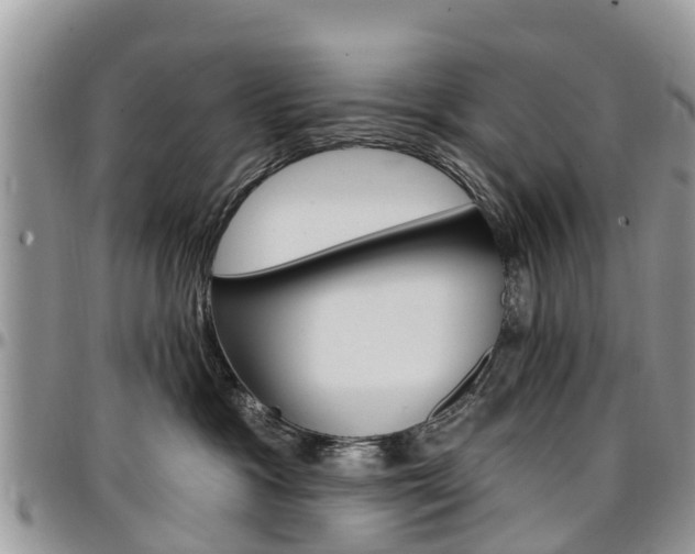 X0000096950333200802151243