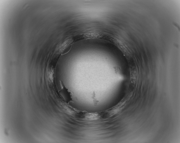 X0000096950334200802151243