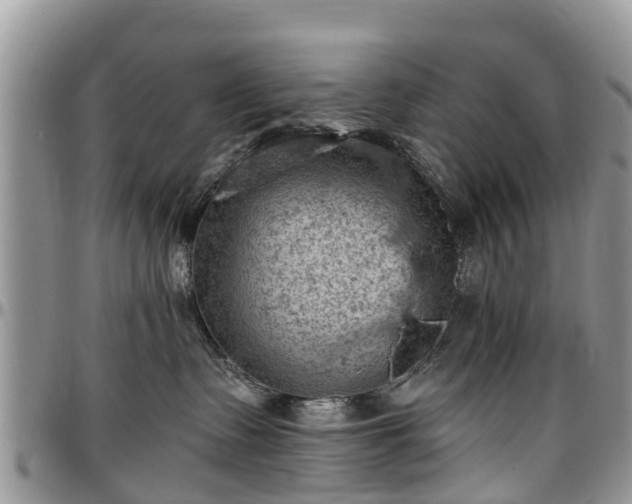 X0000096950335200802151243