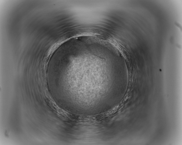 X0000096950337200802151242