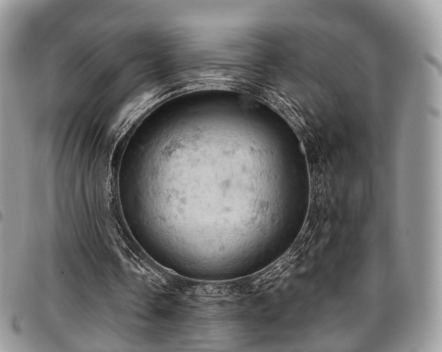 X0000096950338200802151242