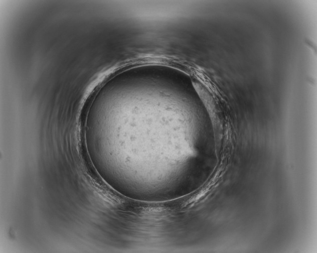 X0000096950342200802151242