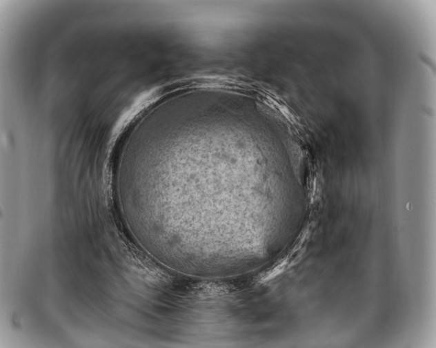 X0000096950343200802151242