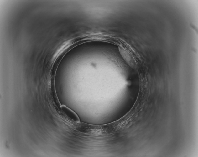 X0000096950344200802151242