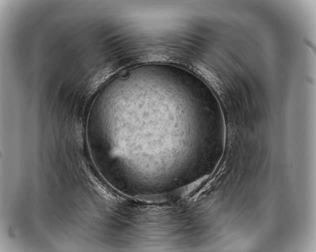 X0000096950345200802151242