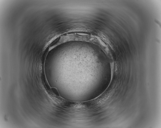 X0000096950348200802151242