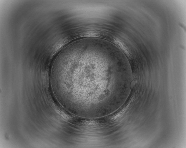 X0000096950349200802151242