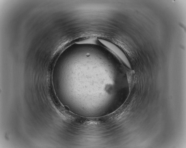 X0000096950352200802151242