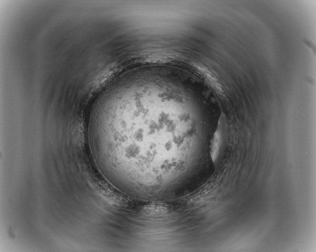 X0000096950354200802151243