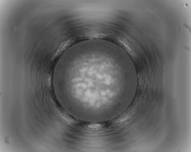 X0000096950357200802151243