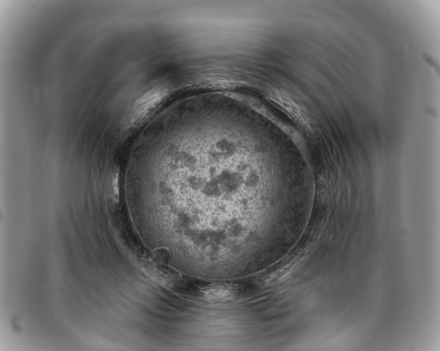 X0000096950358200802151243
