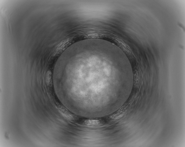 X0000096950361200802151243