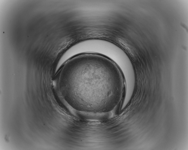 X0000096950362200802151243