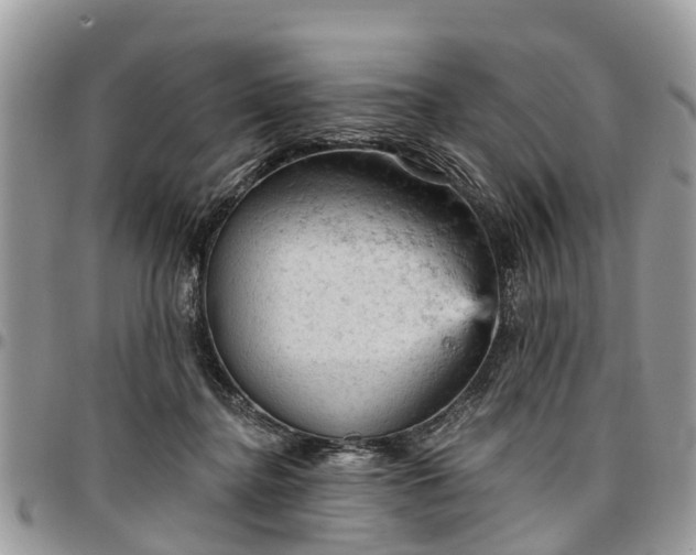 X0000096950364200802151243