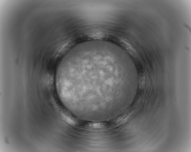 X0000096950365200802151243