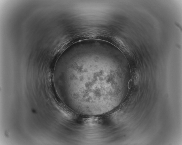 X0000096950366200802151243